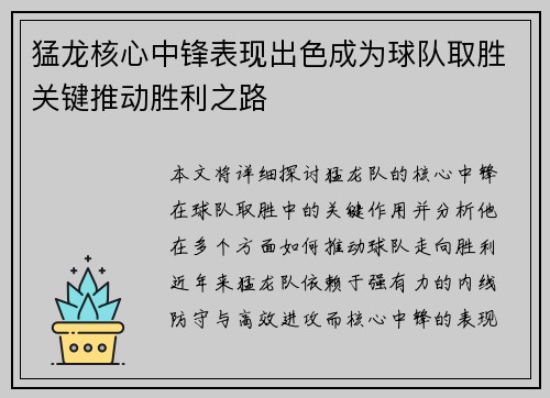 猛龙核心中锋表现出色成为球队取胜关键推动胜利之路