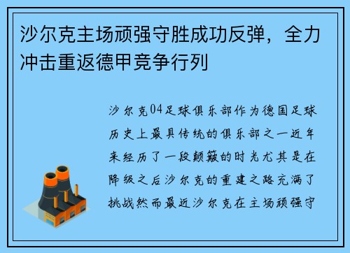 沙尔克主场顽强守胜成功反弹，全力冲击重返德甲竞争行列