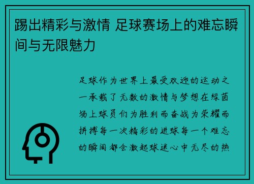 踢出精彩与激情 足球赛场上的难忘瞬间与无限魅力