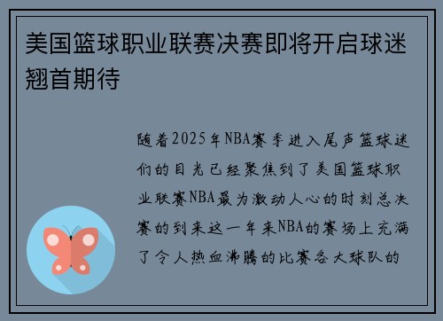 美国篮球职业联赛决赛即将开启球迷翘首期待